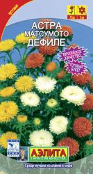 Астра Матсумото дефиле, смесь (Аэлита)