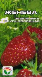 Земляника Женева (Сибирский сад) семена