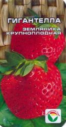 Земляника Гигантелла (Сибирский сад) семена