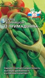 Огурец Примадонна F1 (СеДеК)
