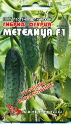 Огурец Метелица F1 (Биотехника)