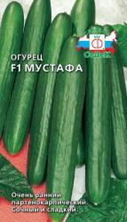 Огурец Мустафа F1 (СеДек)