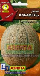 Дыня Карамель (Аэлита)