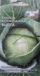 Капуста Вьюга (СеДек)