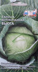 Капуста Вьюга (СеДек)