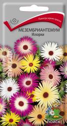 Мезембриантемум Искорки (Поиск)