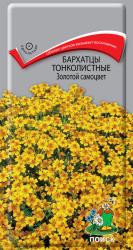 Бархатцы Золотой самоцвет (Поиск)