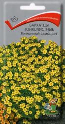 Бархатцы Лимонный самоцвет тонколистные (Поиск)