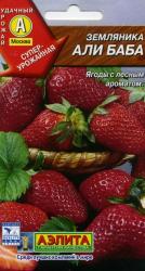 Земляника Али-Баба, ремонтантная (Аэлита) семена