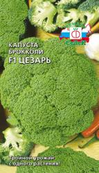 Брокколи Цезарь F1 (СеДек)