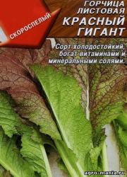 Горчица листовая Красный гигант (Аэлита)