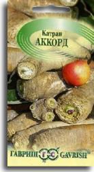 Катран Аккорд (Гавриш)
