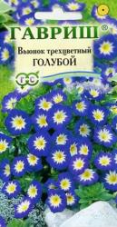 Вьюнок трехцветный Голубой (Гавриш)