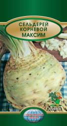 Сельдерей Максим корневой (Поиск)