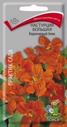 Настурция Коричневый блик большая (Поиск)