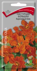 Настурция Коричневый блик большая (Поиск)