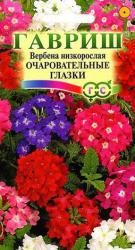 Вербена Очаровательные глазки (Гавриш)