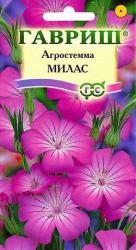 Агростемма Милас (Гавриш)