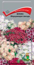Флокс Мерцающая звезда (Поиск)