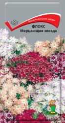 Флокс Мерцающая звезда (Поиск)