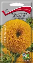Подсолнечник декоративный Оранжевое солнце (Поиск)