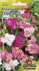 Кларкия изящная Скоморох, смесь (Гавриш)