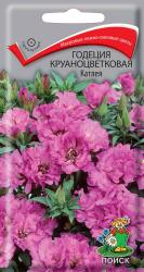 Годеция Катлея махровая (Гавриш)