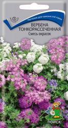 Вербена Тонкорассеченная многолетняя, смесь окрасок (Поиск) 