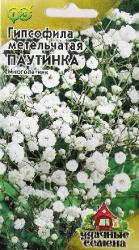 Гипсофила метельчатая Паутинка (Гавриш)