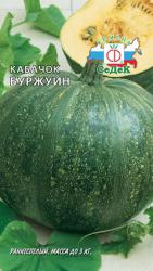 Кабачок Буржуин (СеДек)