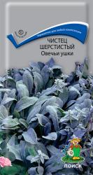 Чистец шерстистый Овечьи ушки (Поиск)