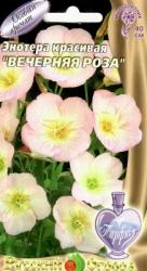 Энотера красивая Вечерняя роза многолетняя (Русский огород)