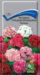 Гвоздика турецкая карликовая Пиноккио двулетняя (Поиск)