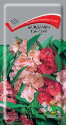 Бальзамин Том самб, смесь (Поиск)