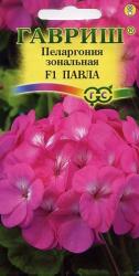 Пеларгония зональная Павла F1 (Гавриш)
