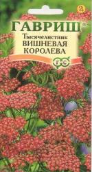Тысячелистник Вишневая королева (Гавриш)