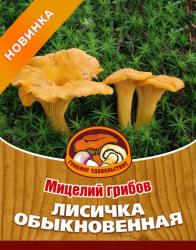 Лисичка обыкновенная на субстрате (Грибное удовольствие)