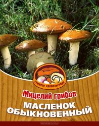 Масленок обыкновенный на субстрате (Грибное удовольствие)