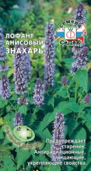 Лофант анисовый Знахарь (Седек)