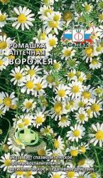 Ромашка аптечная Ворожея (СеДек)