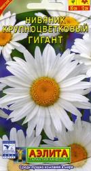 Нивяник Гигант крупноцветковый (Аэлита)