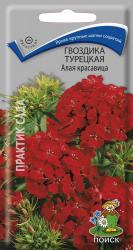 Гвоздика турецкая Алая красавица двулетняя (Поиск)