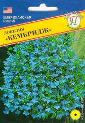 Лобелия эринус Кембридж (Престиж)