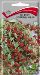 Шпинат Земляничный (Поиск)
