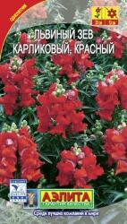 Львиный зев Карликовый красный (Аэлита)