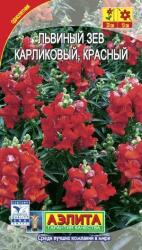 Львиный зев Карликовый красный (Аэлита)