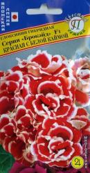 Глоксиния Брокэйд красная c белой каймой F1 (SAKATA)