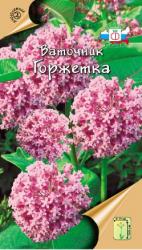 Ваточник Горжетка сирийский (СеДек)