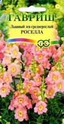 Львиный зев Роселла (Гавриш)