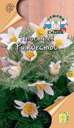 Прострел Рождество (СеДек)